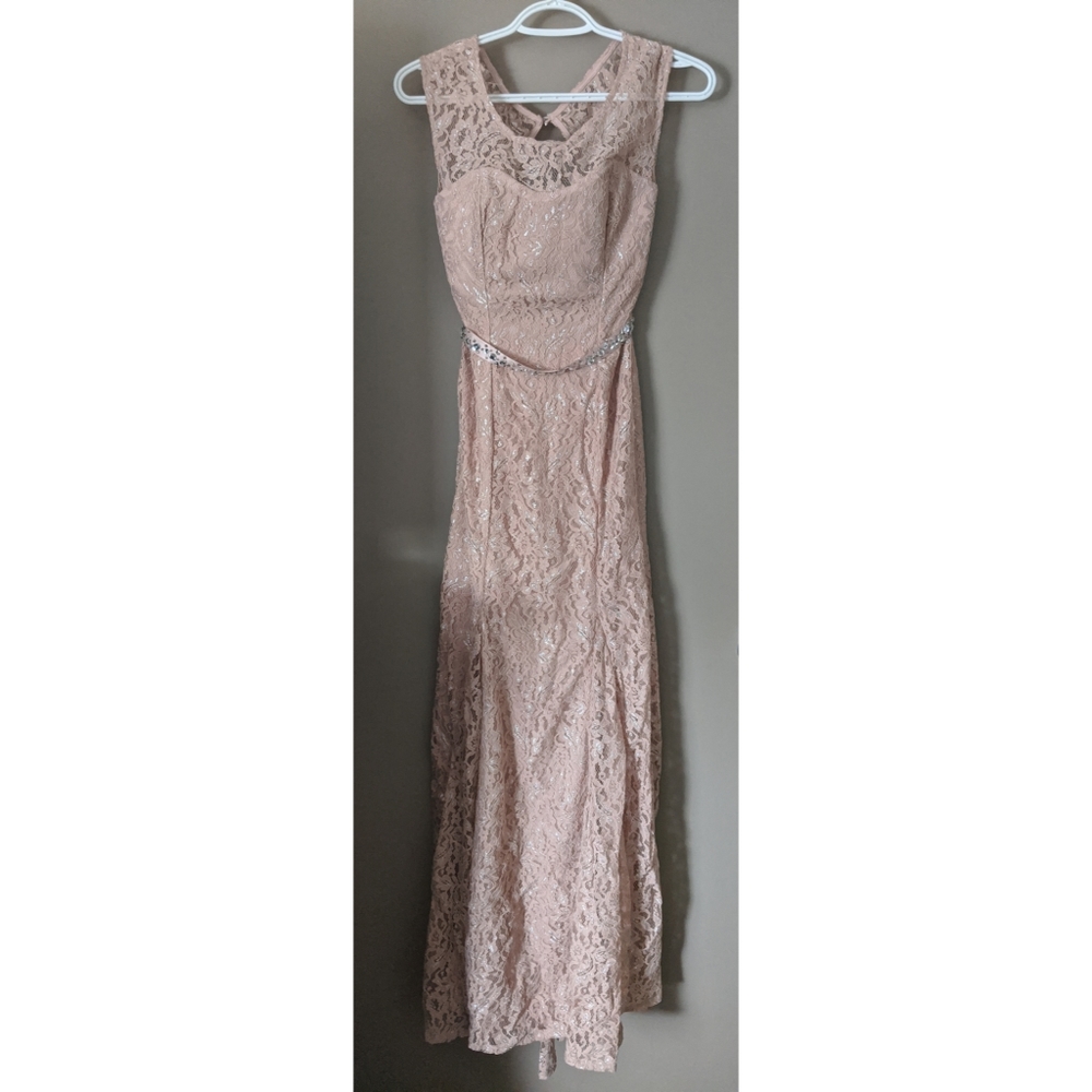 NWT Pink Lace Mermaid Dress/Gown